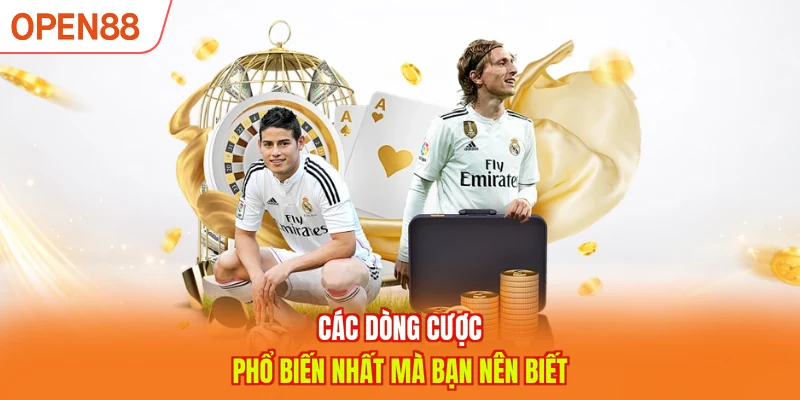 Các dòng cược phổ biến nhất mà bạn nên biết