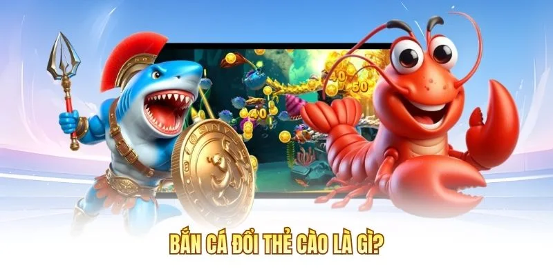 Bắn c&aacute; đổi thẻ c&agrave;o l&agrave; g&igrave;?